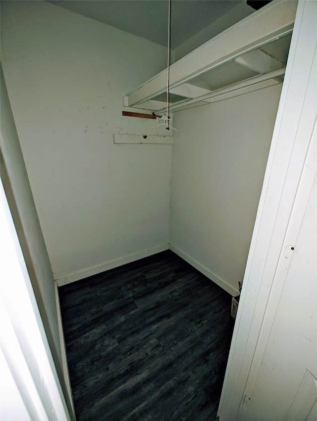 walk in closet with dark hardwood / wood-style flooring