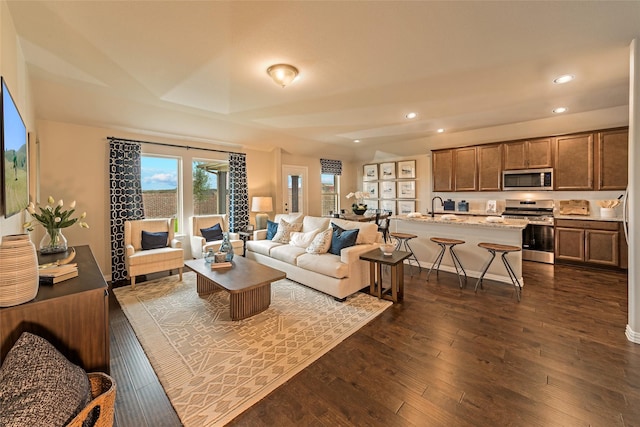 living room featuring dark wood-type flooring and sink