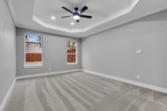 carpeted spare room featuring a raised ceiling, ceiling fan, and ornamental molding