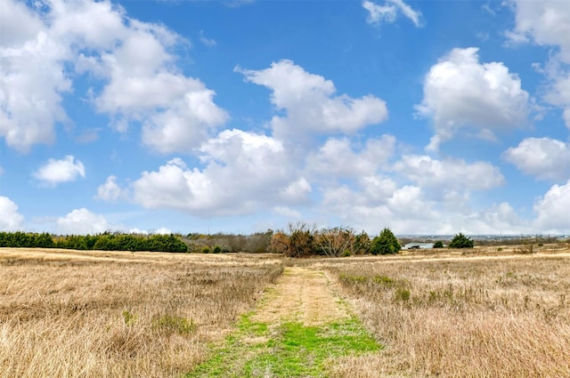 view of local wilderness featuring a rural view