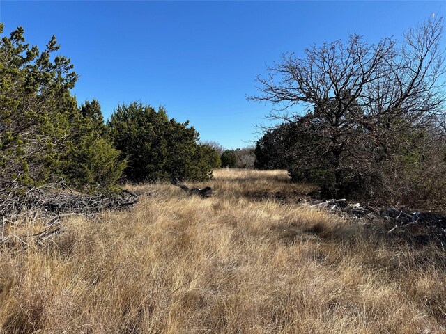 102 Sean Ln, Bangs TX, 76823 land for sale