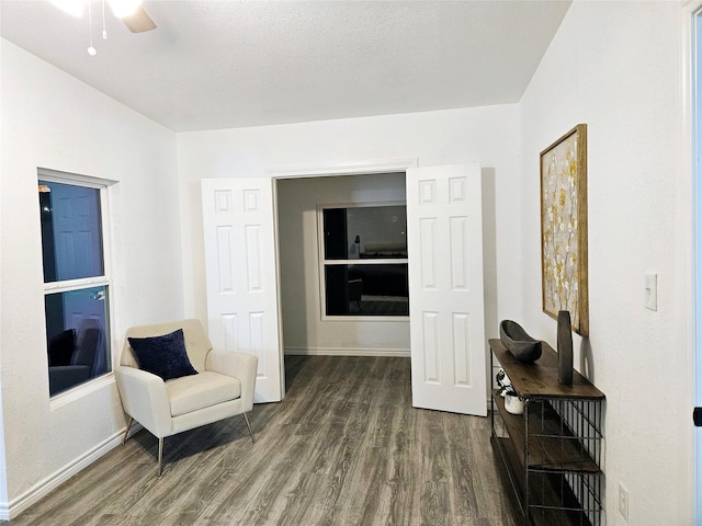 sitting room featuring dark wood-type flooring