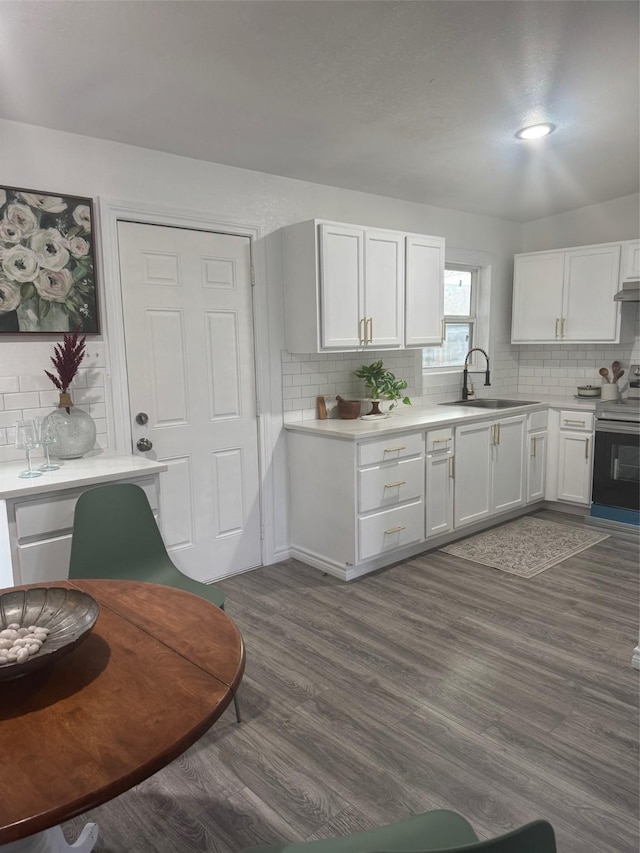 kitchen with white cabinetry, sink, electric range, and dark hardwood / wood-style flooring