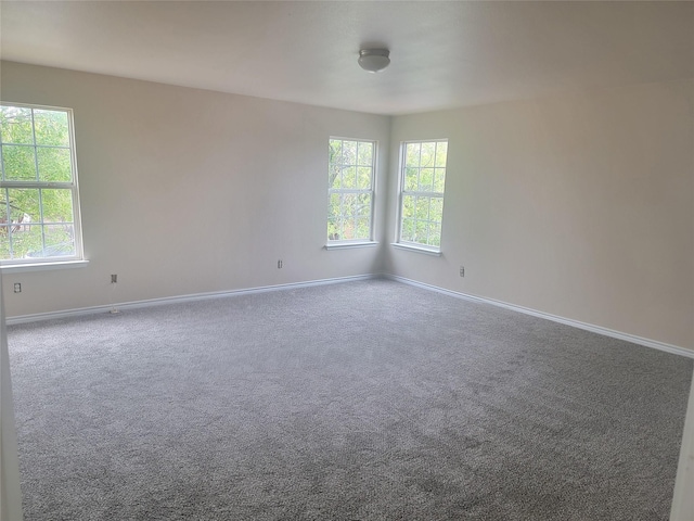 unfurnished room with carpet flooring