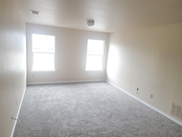 empty room with light carpet and plenty of natural light