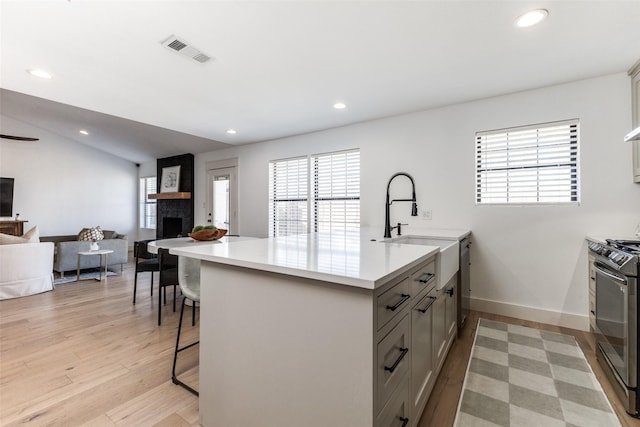 kitchen featuring light wood-type flooring, appliances with stainless steel finishes, a large fireplace, and a healthy amount of sunlight