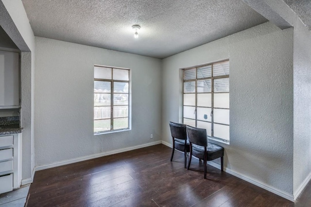 unfurnished office featuring a textured ceiling and dark hardwood / wood-style floors