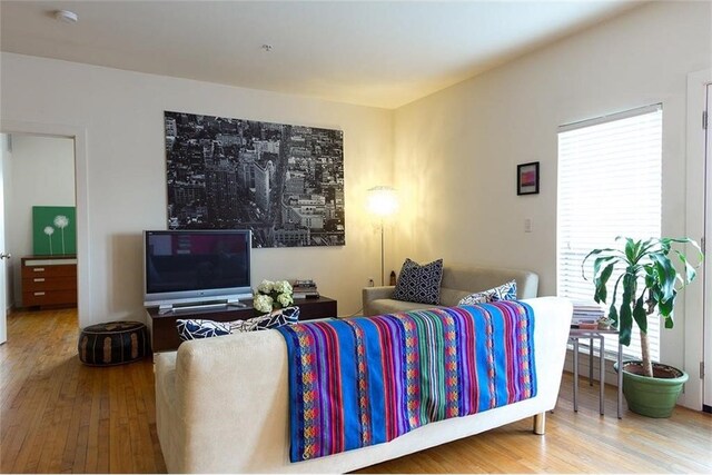 living room featuring hardwood / wood-style flooring