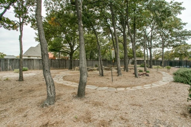 1218 Hunters Haven Dr, Kennedale, TX 76060 - view of yard