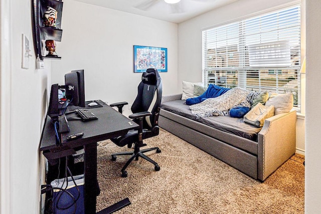 office featuring carpet and ceiling fan