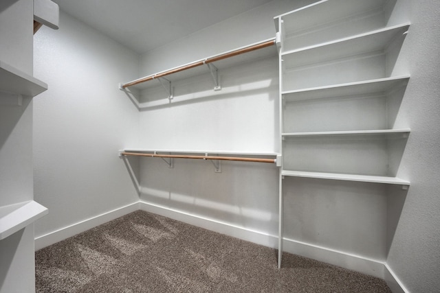 spacious closet featuring carpet flooring