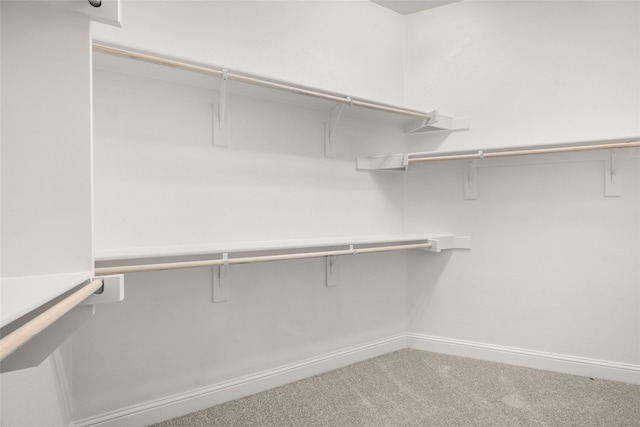 1402 Ethan Cir, Midlothian, TX 76065 - walk in closet with carpet floors