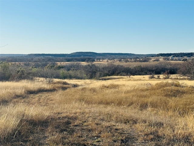 TBD Fm1189, Bluff Dale TX, 76433 land for sale