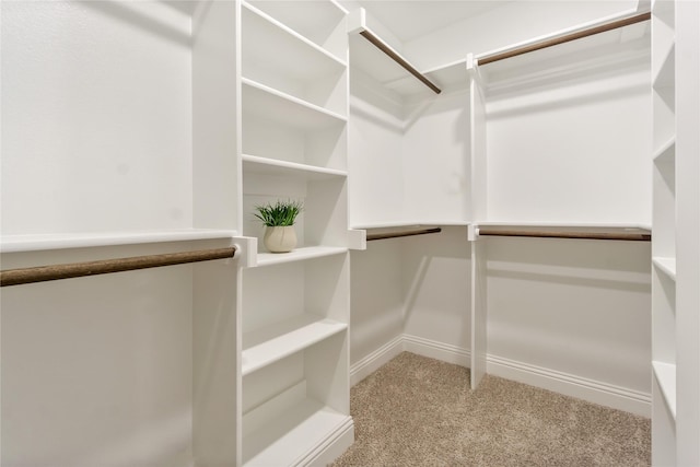 walk in closet with light carpet