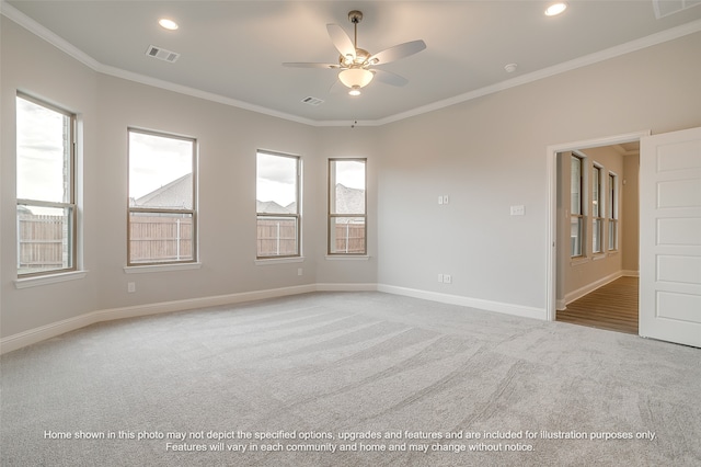 spare room with crown molding, carpet flooring, and ceiling fan