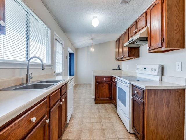 kitchen featuring brown cabinets, under cabinet range hood, a sink, white appliances, and light countertops