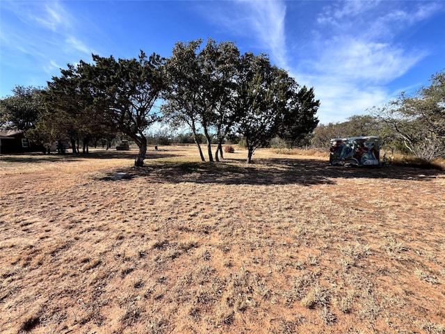 view of yard with a rural view