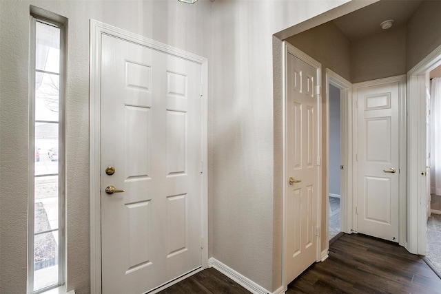 foyer featuring dark wood-type flooring