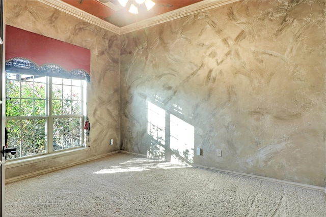 empty room with ornamental molding and carpet flooring