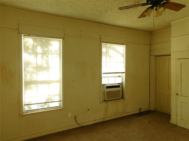 empty room featuring a wealth of natural light, a textured ceiling, and ceiling fan