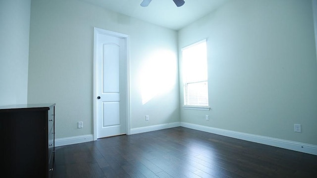 interior space featuring a wealth of natural light, ceiling fan, and dark wood-type flooring