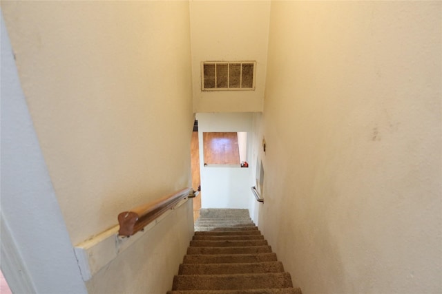 staircase featuring carpet floors