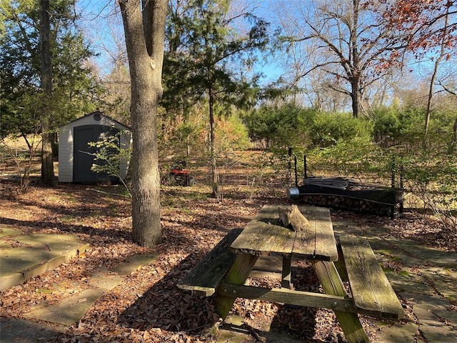 view of yard featuring a storage shed