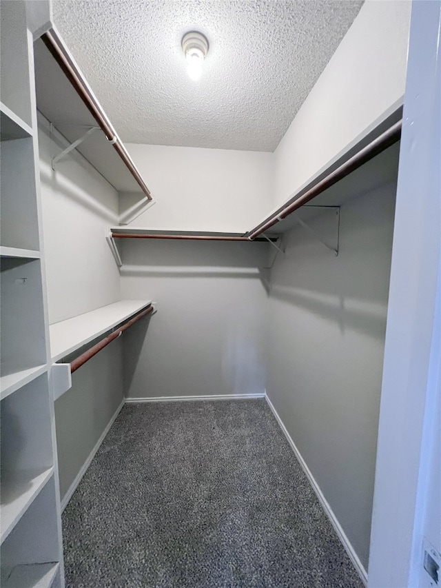 spacious closet with carpet floors