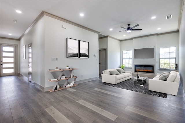 living room featuring ceiling fan, dark hardwood / wood-style flooring, and crown molding