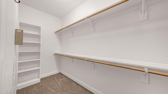 spacious closet with carpet floors