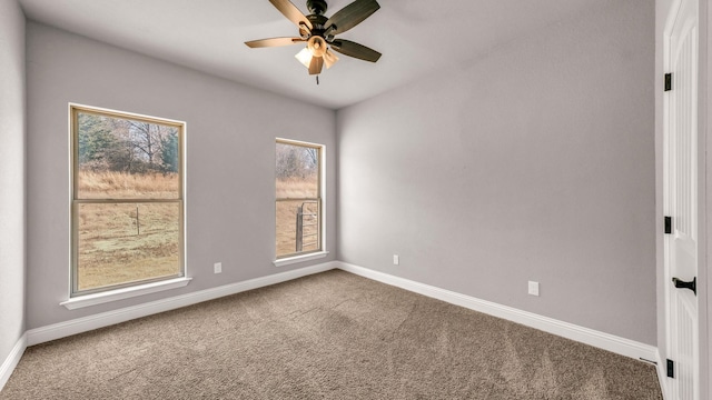 empty room featuring ceiling fan and carpet