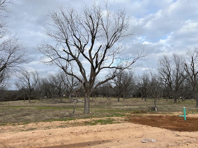 1036 E Landings N, Granbury TX, 76049 land for sale