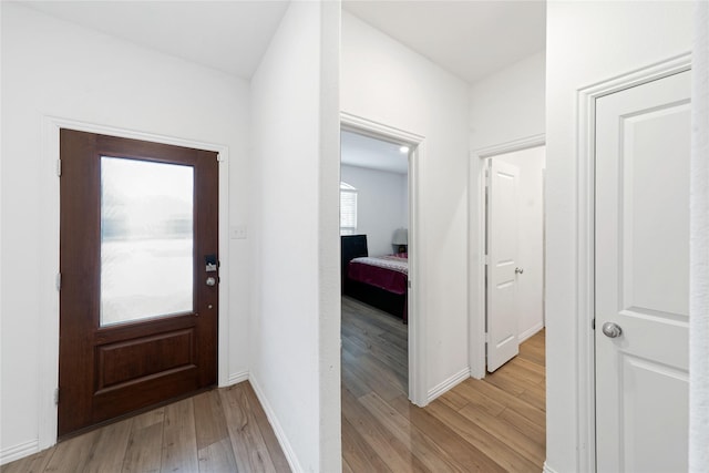 foyer featuring a wealth of natural light and light hardwood / wood-style flooring