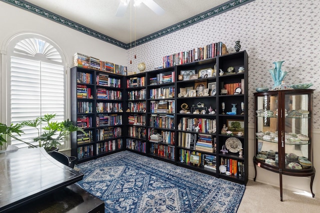 sitting room featuring carpet floors