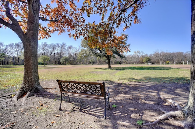 view of home's community featuring a yard