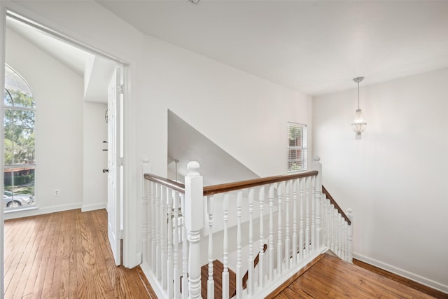 stairs featuring hardwood / wood-style floors