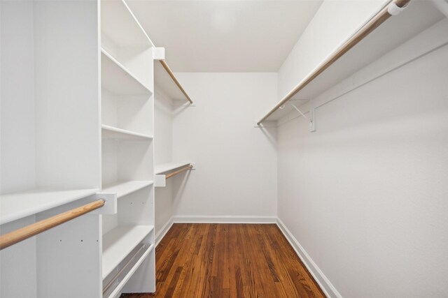 spacious closet featuring dark hardwood / wood-style floors