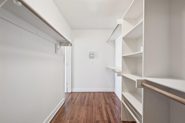 spacious closet with dark hardwood / wood-style floors