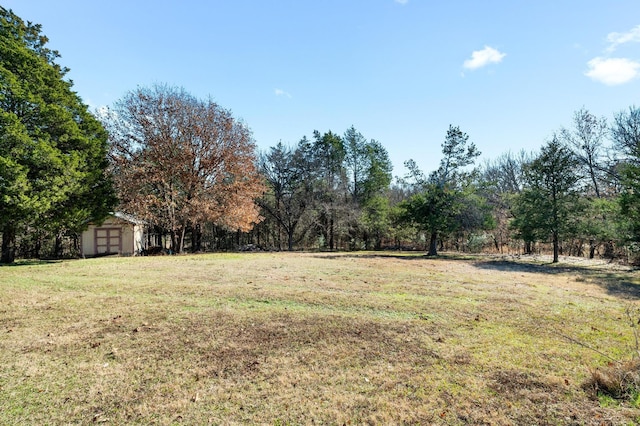 view of yard with a storage unit