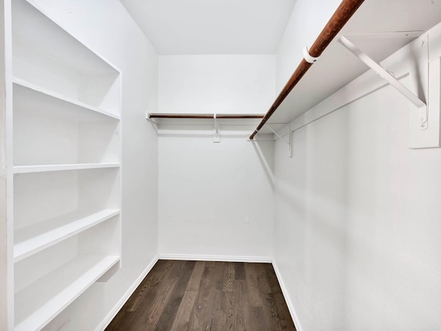 spacious closet with dark wood-type flooring