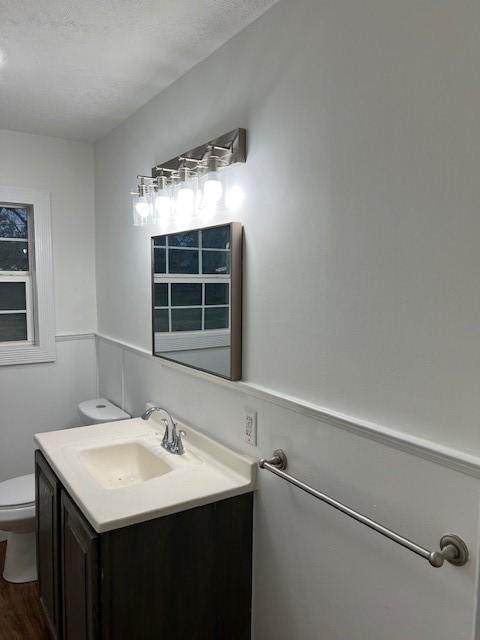 bathroom featuring vanity, hardwood / wood-style flooring, and toilet