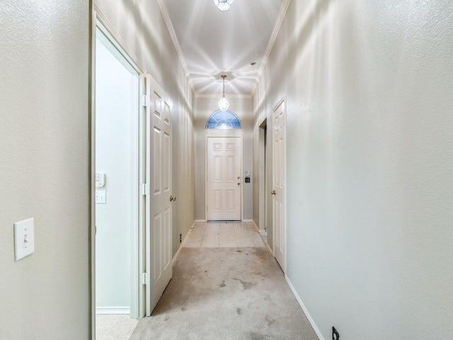 hall with light carpet and ornamental molding