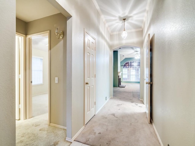 hallway with a wealth of natural light, light carpet, and ornamental molding