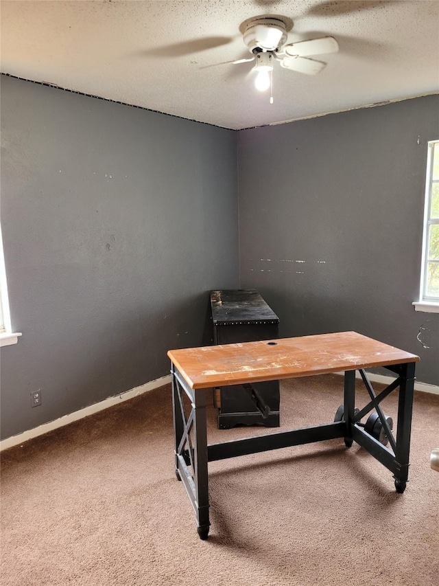 office space featuring ceiling fan, carpet floors, and a textured ceiling