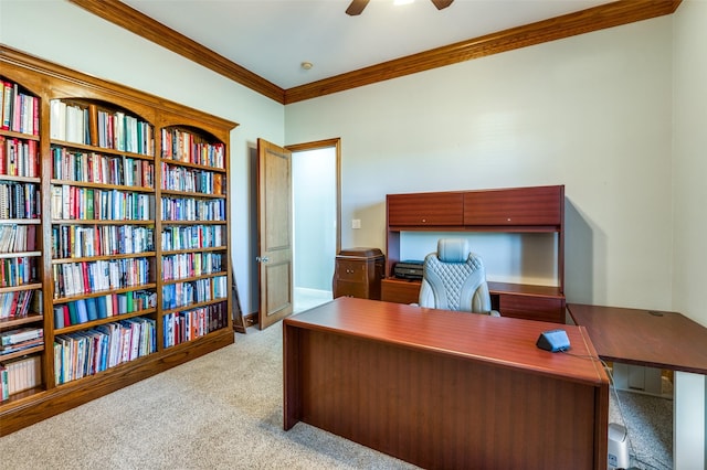 carpeted office space with ceiling fan and ornamental molding