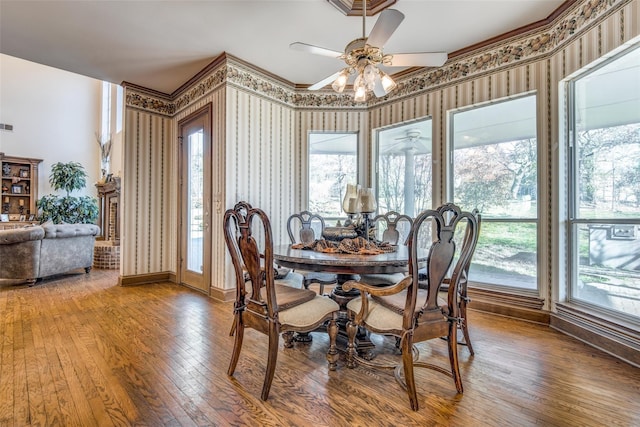 dining area with ceiling fan, plenty of natural light, and wood-type flooring