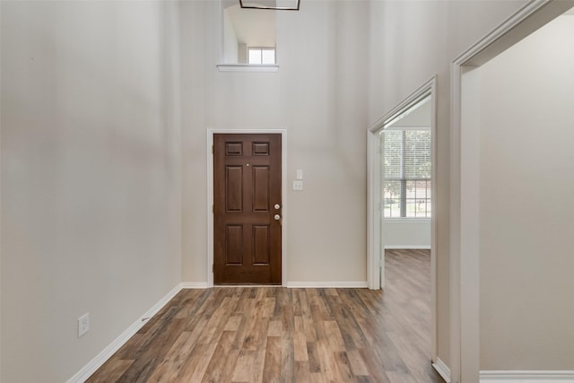 entrance foyer featuring a towering ceiling and hardwood / wood-style flooring