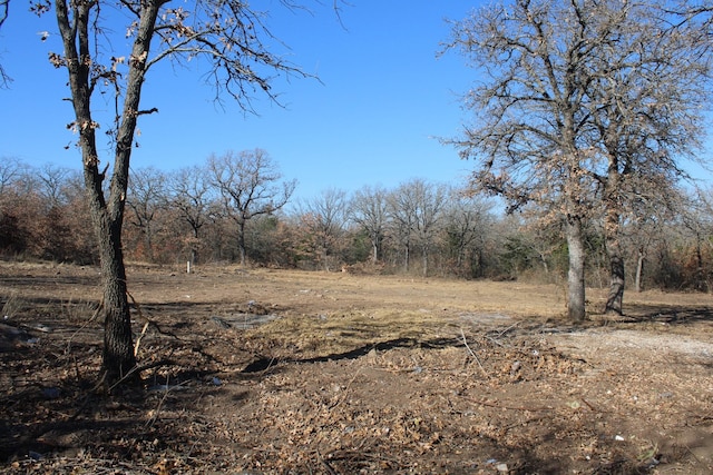 1294 County Road 1895, Sunset TX, 76270 land for sale