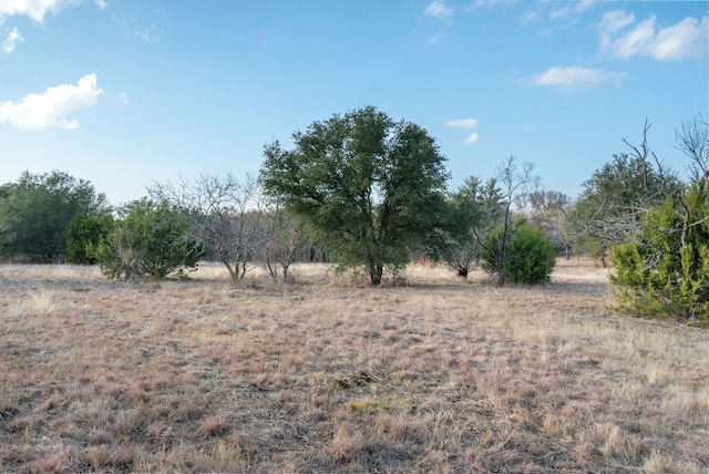 TBD Old Authon Rd, Weatherford TX, 76088 land for sale