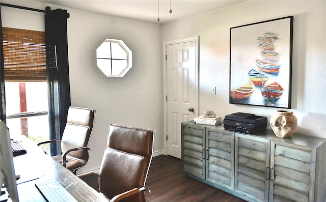 office space with dark hardwood / wood-style flooring